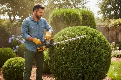 Ножиці для кущів акум. HT56/560BL, 56В, леза-56см, відстань між лезами 33мм, КАРКАС