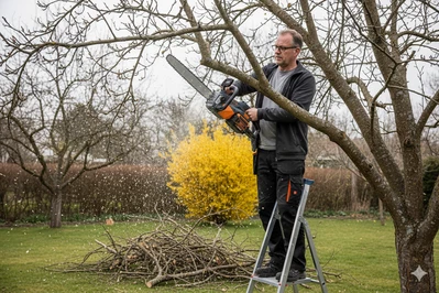 Пила ланцюгова акум. CS56/3000BL KIT, 56В, шина 45см, 62лан, 3/8P, 1,3мм, акум. 4А*год + зарядний пристрій