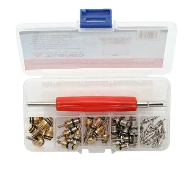 Комплект клапанів для автокондиціонера, 41 шт TAGRED TA1410